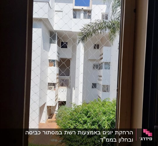 רשת יונים מותקנת על חלון למניעת כניסת יונים
